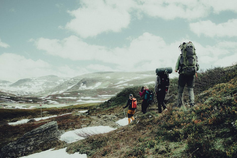 Group of hikers trekking through scenic Swedish mountains with backpacks.